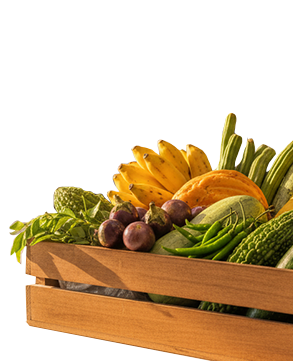 Fresh Produce