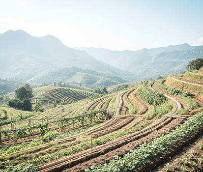 Sustainable Farming